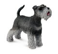 COLLECTA 0