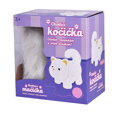 Chodiaca mačička