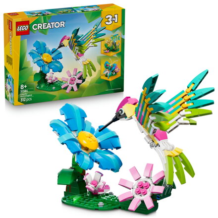 Divoké zvieratá: Farebný kolibrík