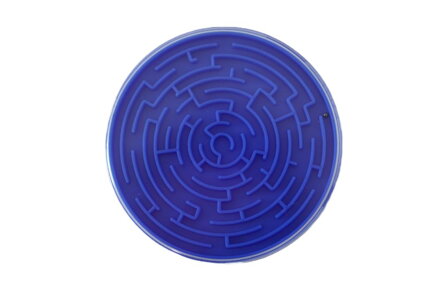 Bludisko