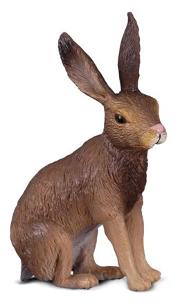 COLLECTA Zajac poľný