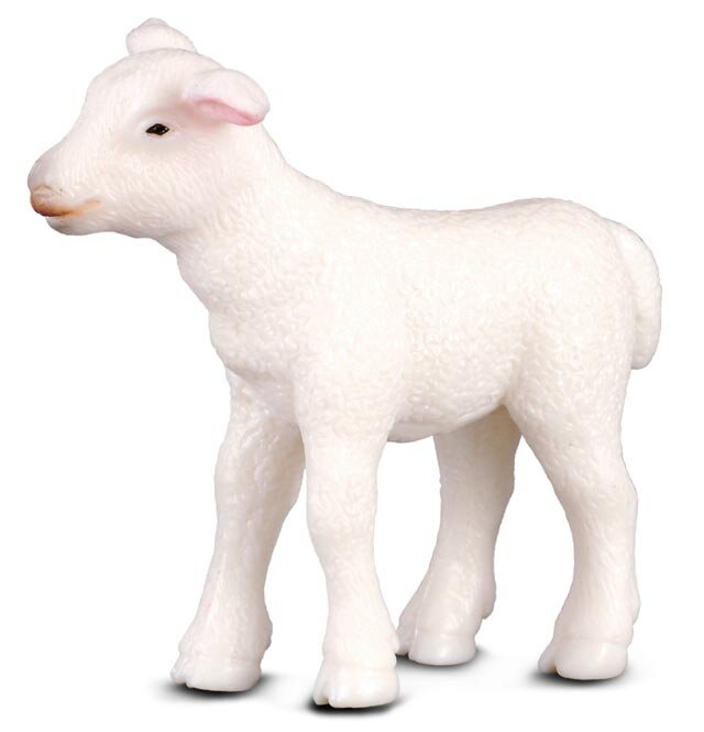 COLLECTA Jahňa