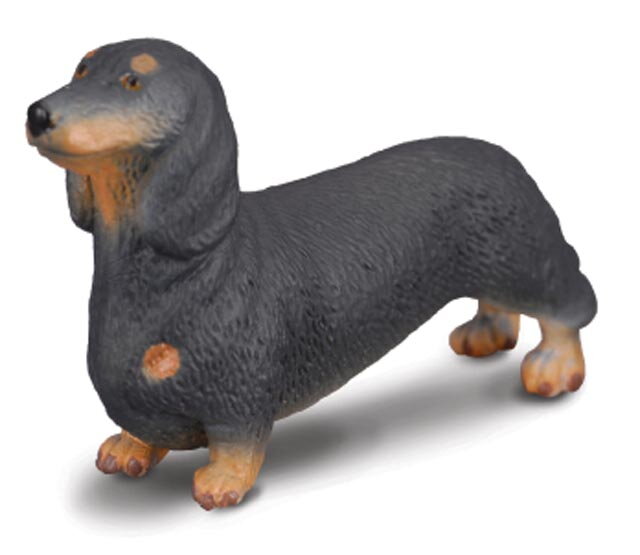 COLLECTA Jazvečík