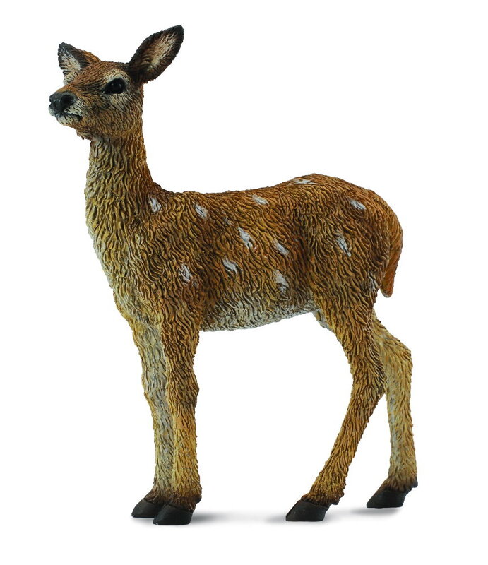 COLLECTA Jelenča lesné