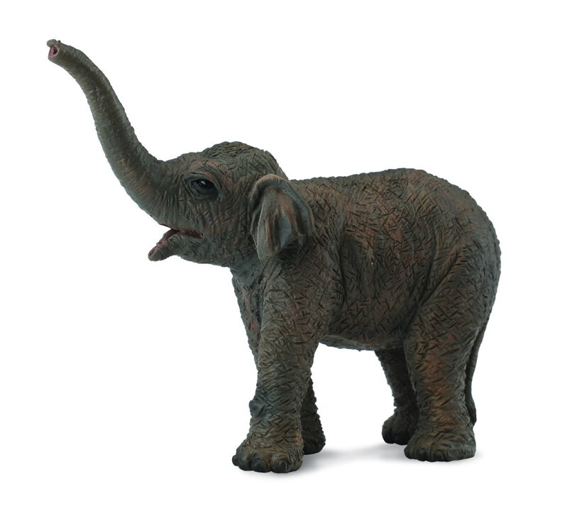COLLECTA Slon ázijský - sloníča