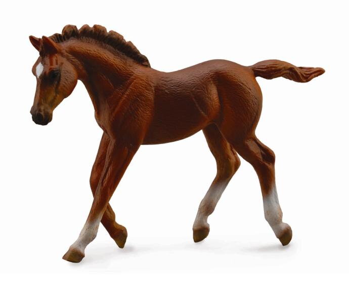 COLLECTA chestnut žrebec