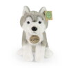 Rappa Plyšový pes husky sediaci 23 cm SOFT COLLECTION, ECO-FRIENDLY