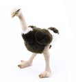 Plyšový pštros Emu 32 cm