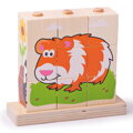 Bigjigs Toys Nasadzovacie kocky Zvieratká