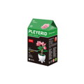 Sluban Flowers M38-B1075C Tropická rastlina v kvetináči