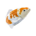Mojo Kapor koi ochiba shigure