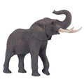 Mojo Slon africký