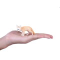 Mojo Líška fennec