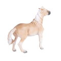 Mojo Kôň Brumby Mare