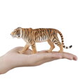Mojo Bengálsky tiger