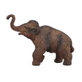 Mojo Mamut srstnatý mláďa