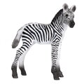 Mojo Zebra mláďa