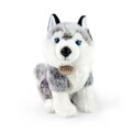 Plyšový pes Husky sediaci 30 cm ECO-FRIENDLY