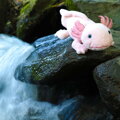 Plyšový axolotl 33 cm ECO-FRIENDLY