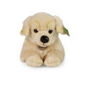 Rappa Plyšový pes zlatý retriever ležiaci 39 cm ECO-FRIENDLY