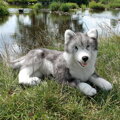 Plyšový pes husky ležiaci 60 cm ECO-FRIENDLY