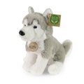 Rappa Plyšový pes husky sediaci 23 cm SOFT COLLECTION, ECO-FRIENDLY