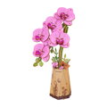 RoboTime 3D drevená skladačka Fialová orchidea