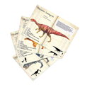 Vilac Veľké puzzle Dinosaury 500 dielikov