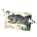 Vilac Sada 3 puzzle dinosaurov