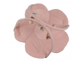 Hracia deka s hrazdou Fairy Garden