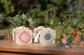Box na prezeranie hmyzu drevený Fairy Garden