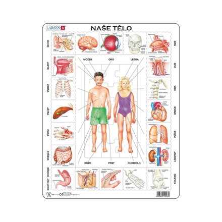 Larsen Vzdelávacie puzzle Naše telo 35 dielikov