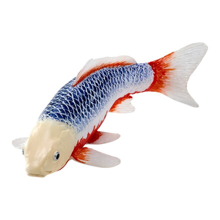 Mojo Kapor koi asagi