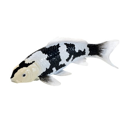 Mojo Kapor koi shiro utsuri
