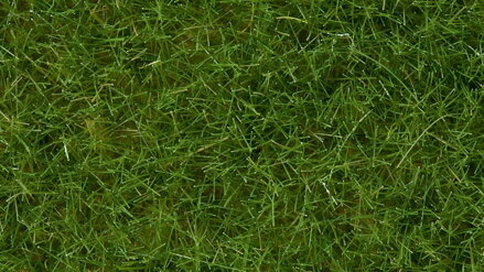 Noch Statická tráva divoká svetlo zelená 6 mm