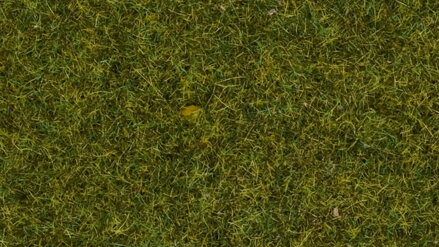 Noch Statická tráva Lúka 4 mm