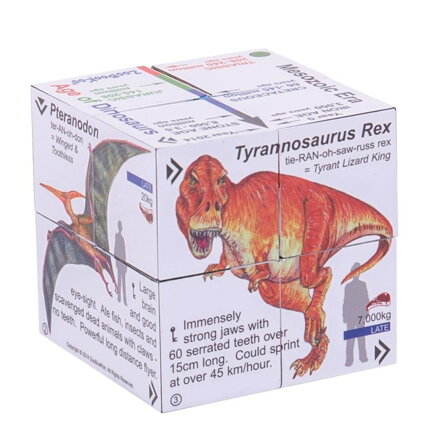 Kniha v kocke Dinosaury