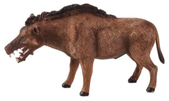 Mojo Entelodont Daeodon
