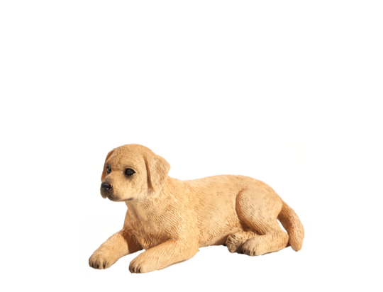 Mojo Labrador šteňa